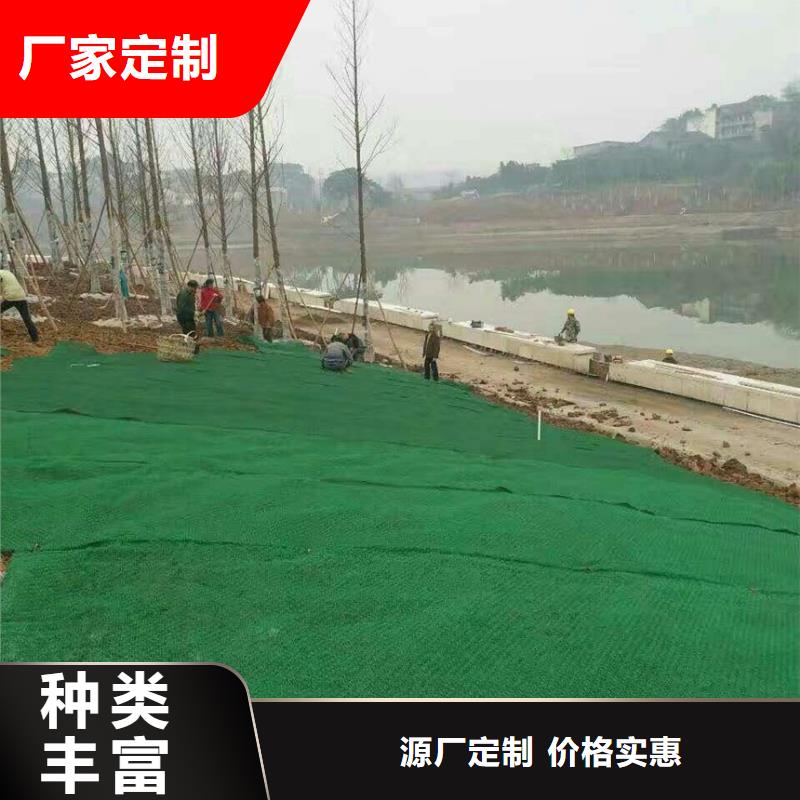 三维植被网凸结点钢塑土工格栅质量不佳尽管来找我