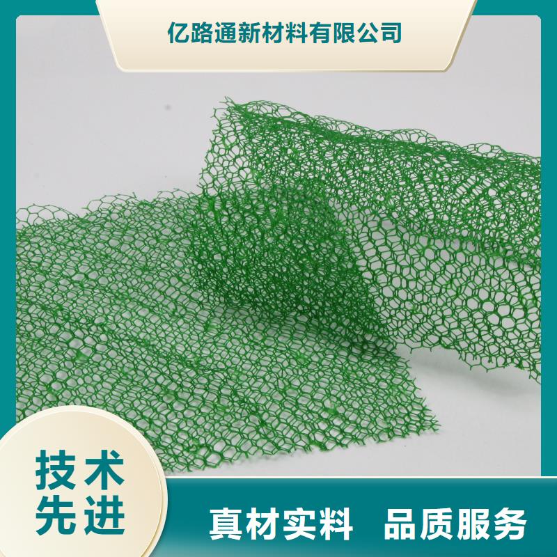 【宁夏】同城三维土工网垫价格信息-三维土工网垫生产厂家