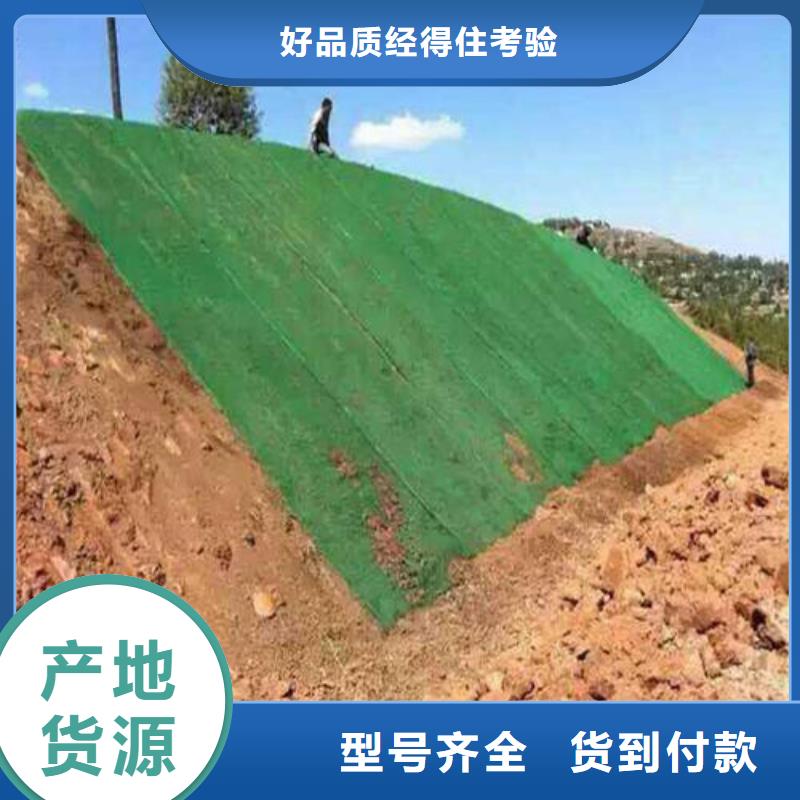 【 三维植被网_聚丙烯双拉土工格栅一周内发货】本地制造商