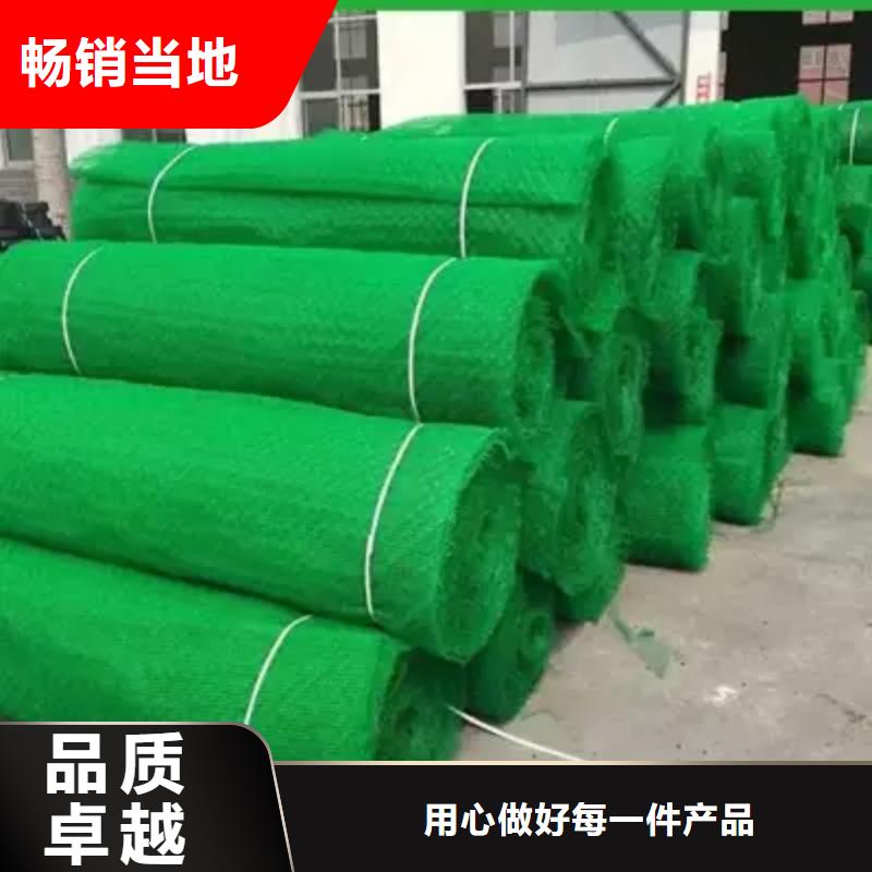 三维土工网垫价格信息-三维土工网垫生产厂家