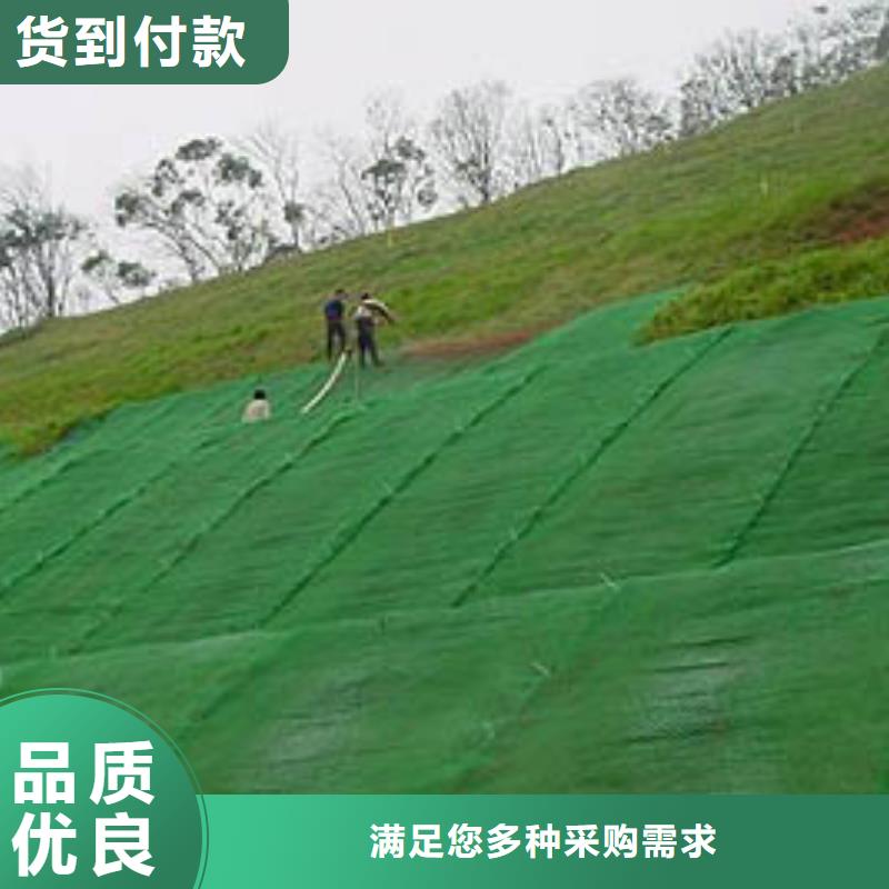 护坡种草三维植被网生产厂家收费标准