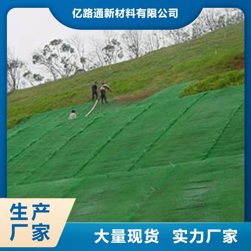 三维植被网垫-边坡防护-绿化植草网