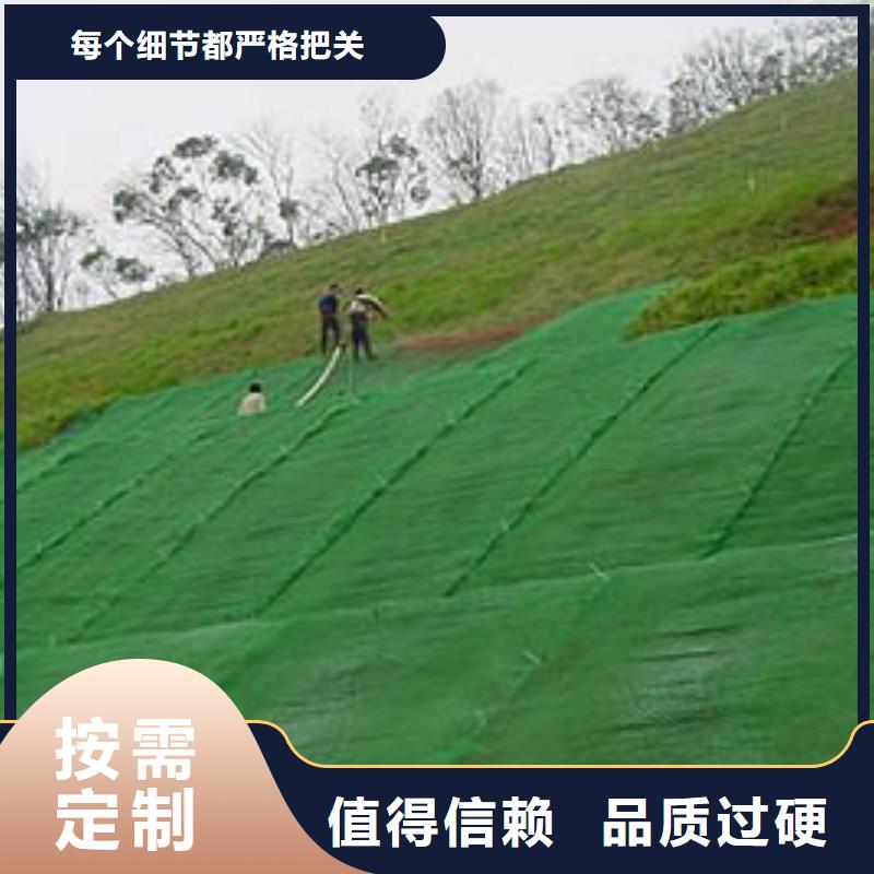 三维植被网|三维网垫植草护坡|三维土工网垫厂家哪家好？