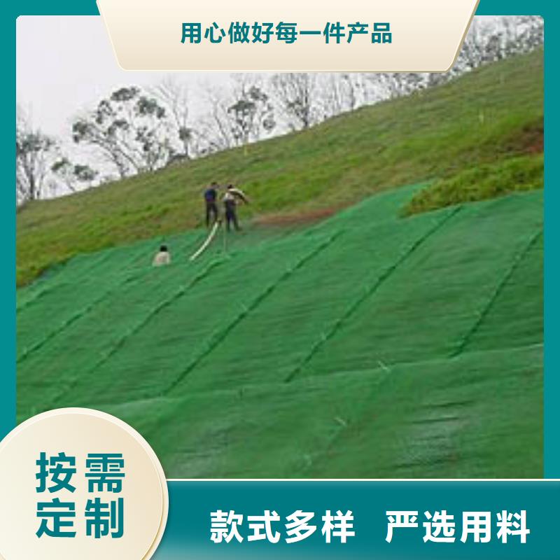 边坡防护三维植被网——集团公司-2024新行情