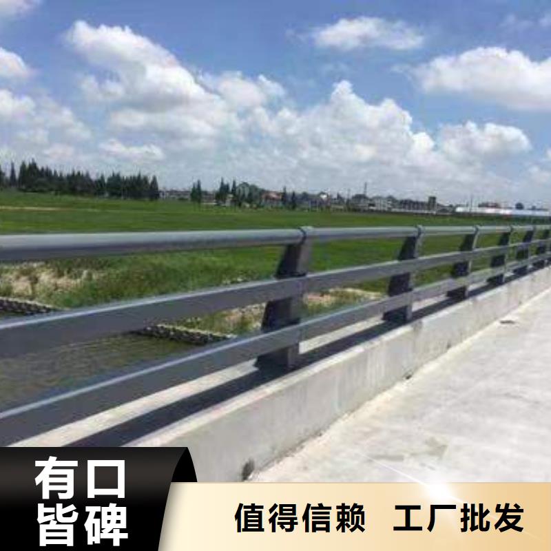 专业销售道路护栏厂家