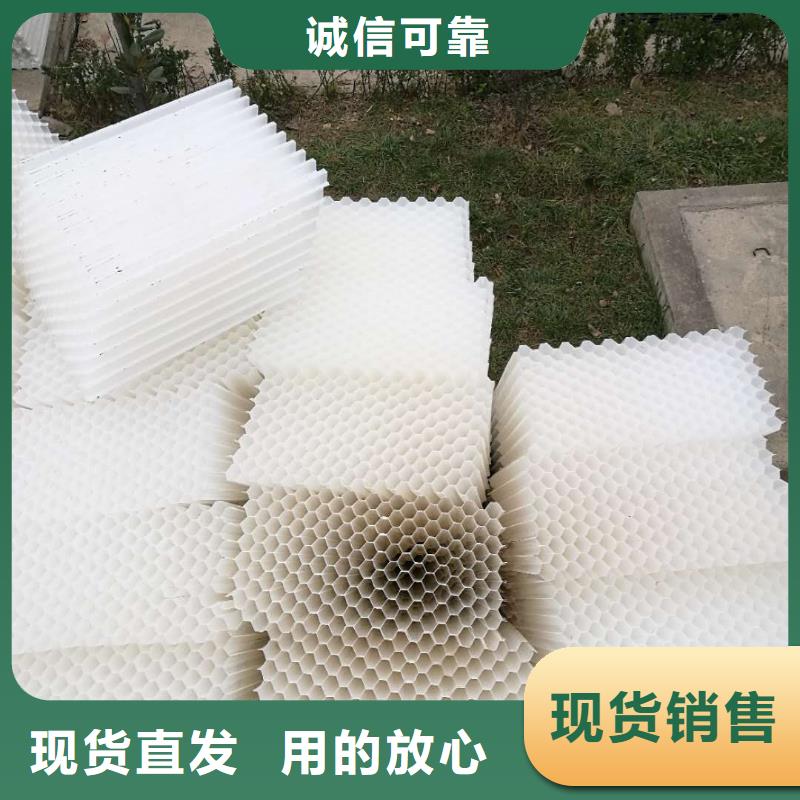 斜管填料活性炭按需定制