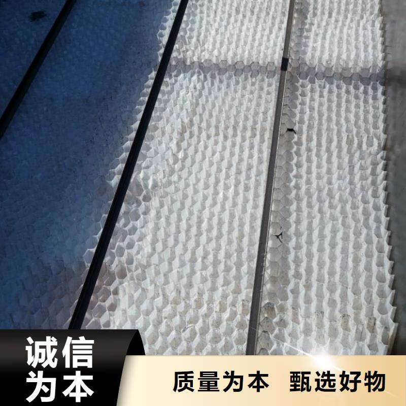 斜管-泡沫滤珠源头厂商