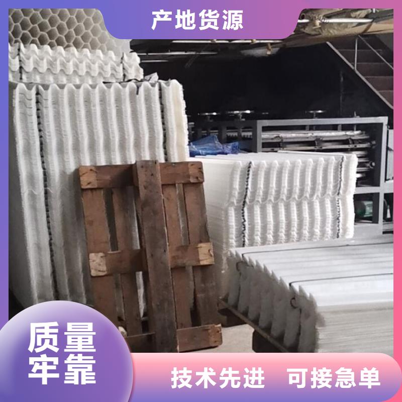 斜管-泡沫滤珠源头厂商
