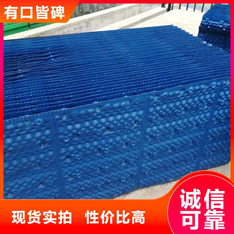 蜂窩斜管聚丙烯材質六角斜管填料廠家供貨