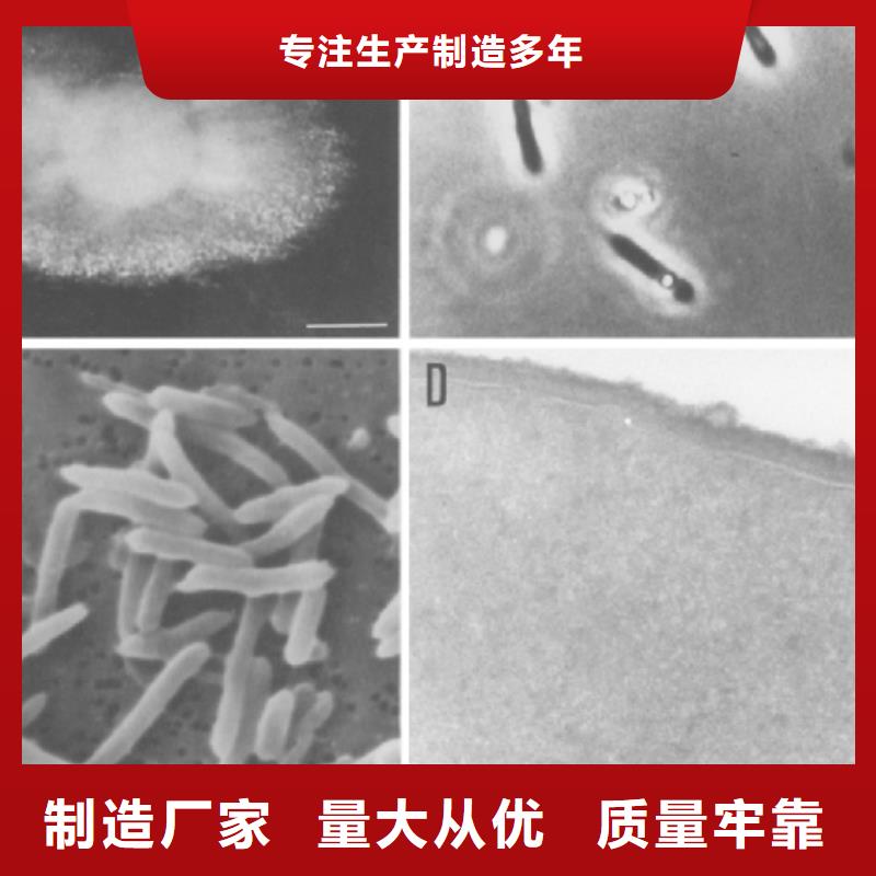 废水处理碳源厂家联系方式