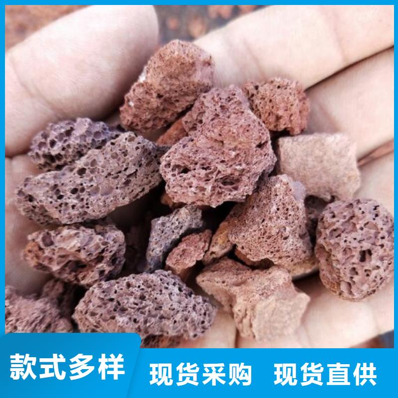 生物濾池專用火山巖陶粒廠家直銷