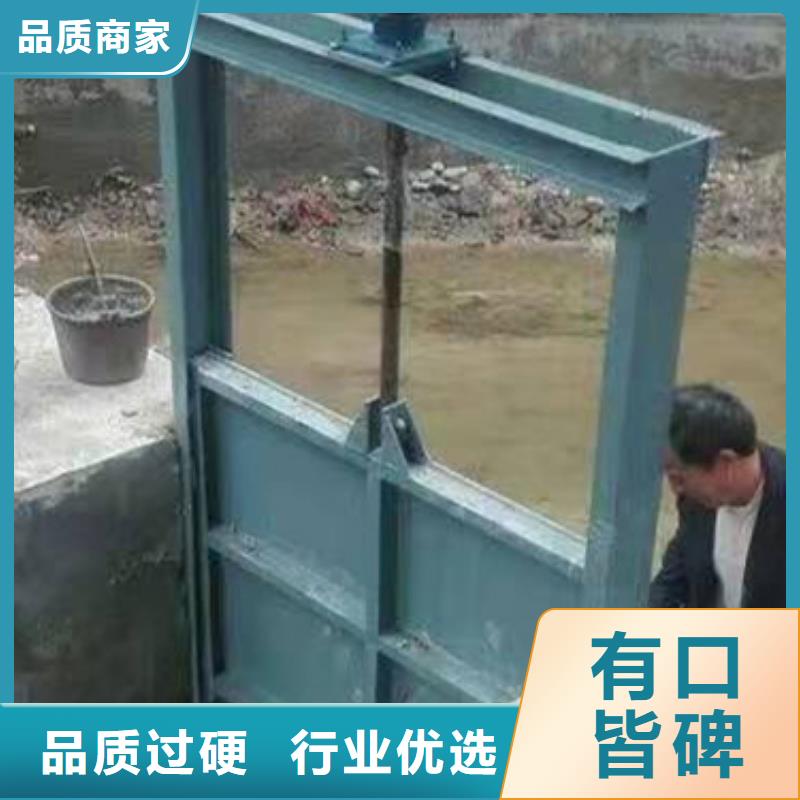 【钢闸门】-启闭机闸门厂家严选材质真实拍摄品质可靠