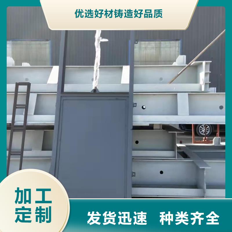 钢制闸门生产厂家批发厂家