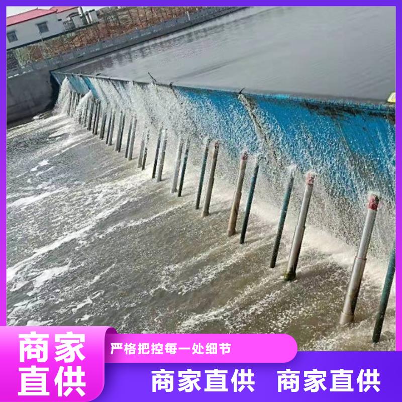 自动抓梁叠梁门据说,