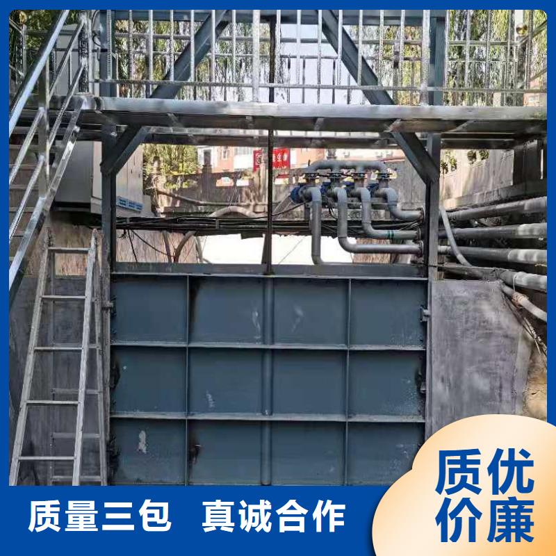 【钢闸门,拍门厂家物美价优】