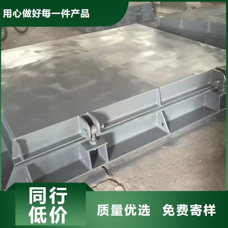 钢闸门实地大厂