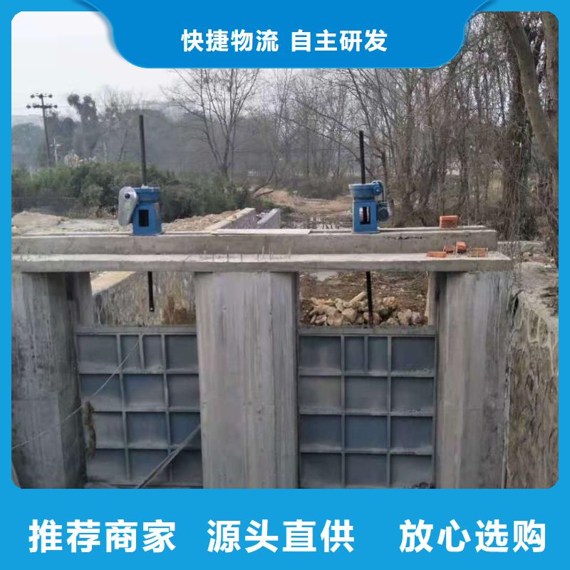  钢闸门实体厂家支持定制