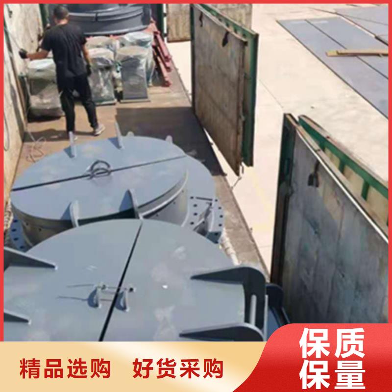 钢闸门 螺杆启闭机厂家精工制作