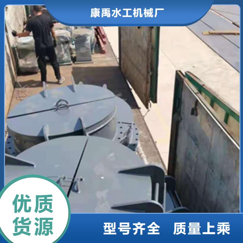  钢闸门自有厂家