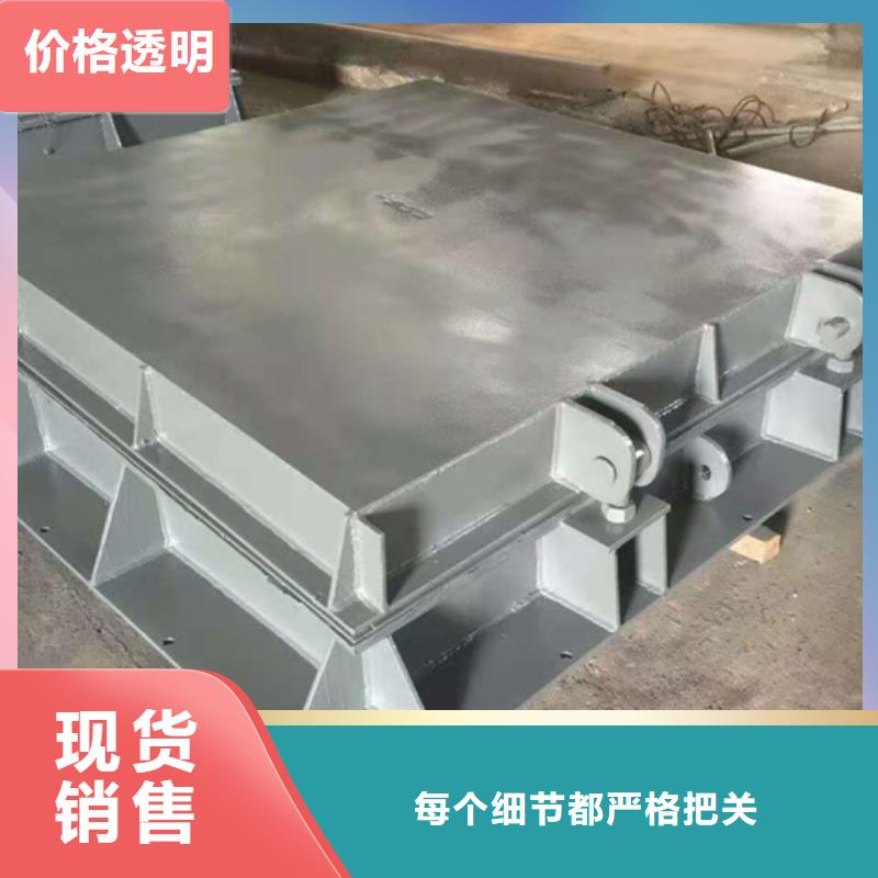  钢闸门自有厂家