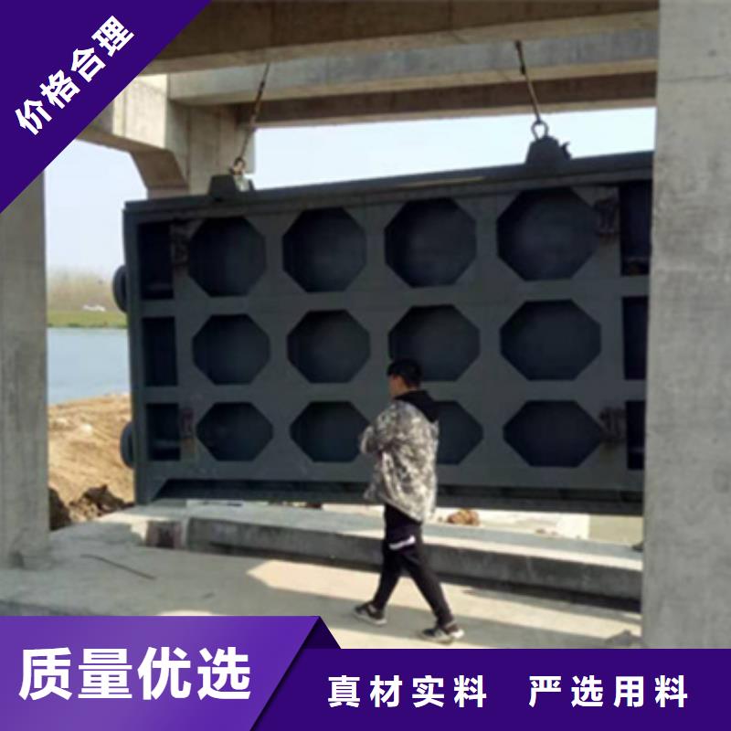 【钢闸门-污水除污机支持定制贴心售后】