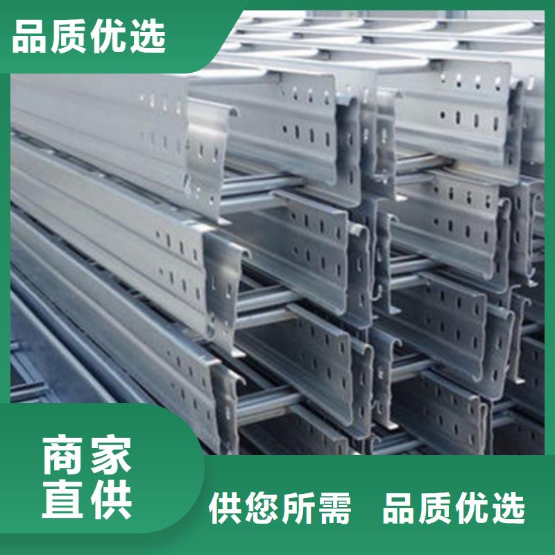 喷塑梯式桥架专业厂家发货快
