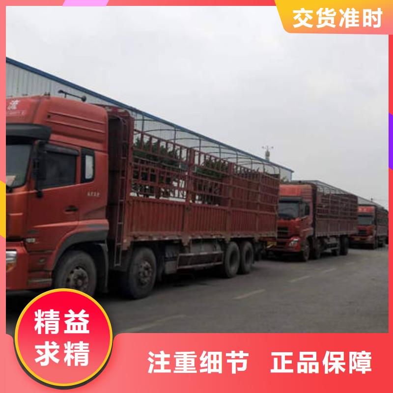 徐州咨询到成都回程货车整车运输公2023已更新(今天/物流动态)