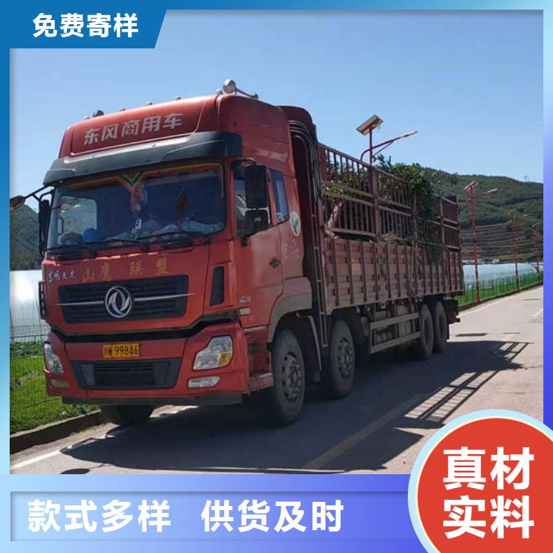 重庆到到【深圳】本地货运回程车整车运输公司签合同放心发