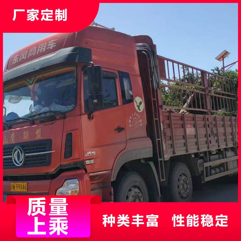 成都到淮安经营回程货车整车运输公司 2023每天滚动发车
