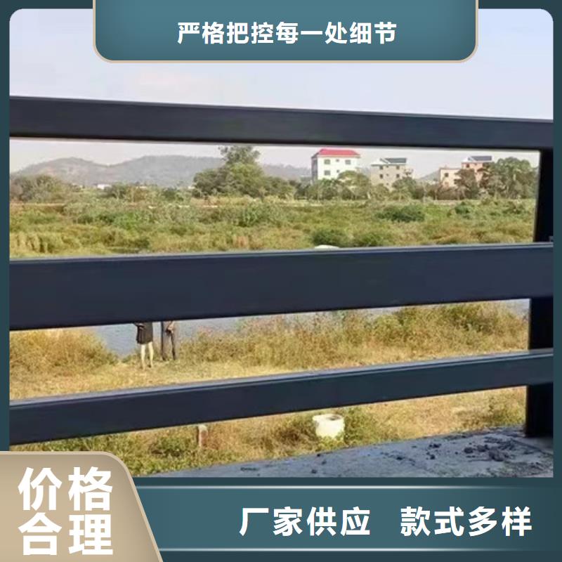 价格合理的拉索道路防撞护栏基地