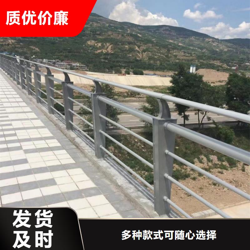 噴漆橋梁防撞欄桿-誠信立足
