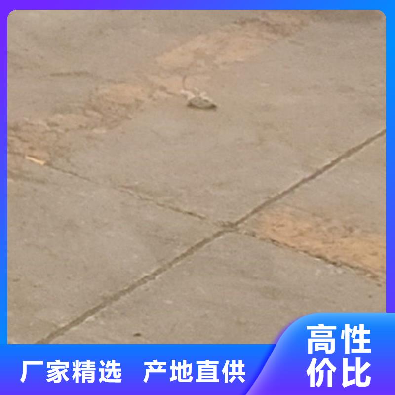  护栏专业完善售后