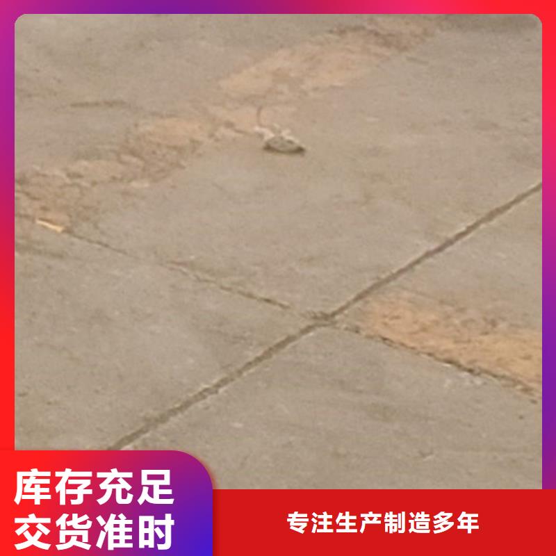 质量可靠的桥梁不锈钢防撞护栏批发商