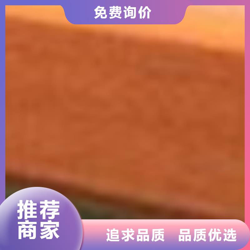 護欄源頭工廠量大優惠