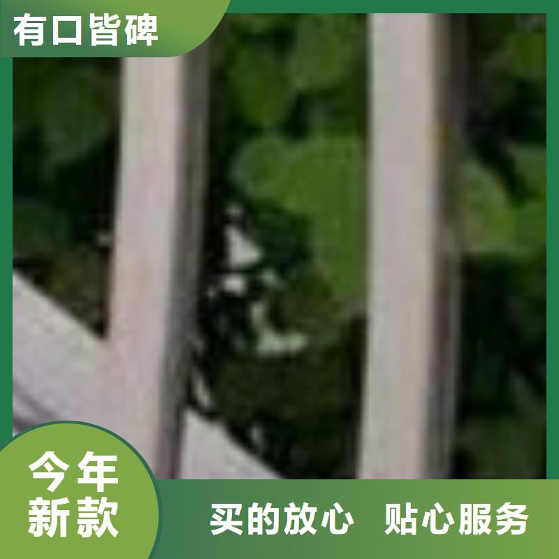  护栏现货交易