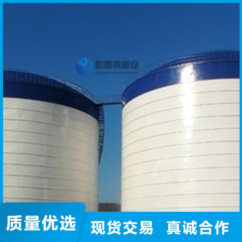 粉煤灰钢板库实体大厂家