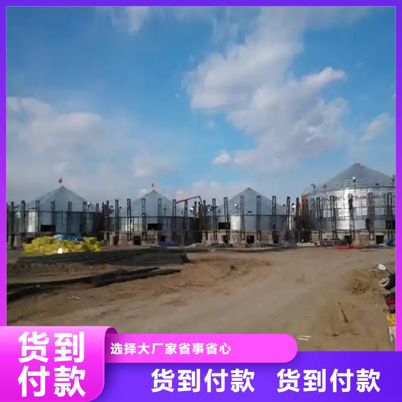 玉米豆类装配式粮仓钢板仓品质保证