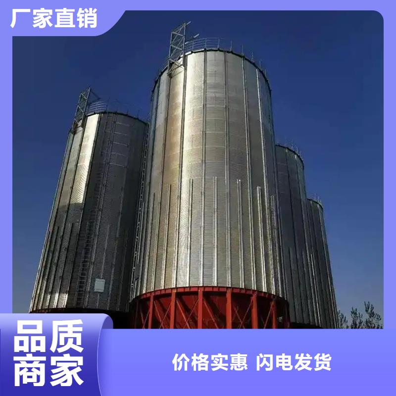 供应批发大型立式粮食储存仓-大型厂家
