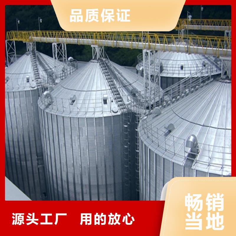 立式装配钢板仓实体大厂