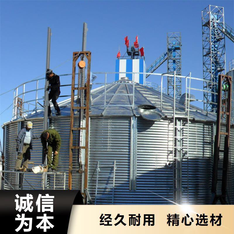 专业销售粮食储存罐-热销