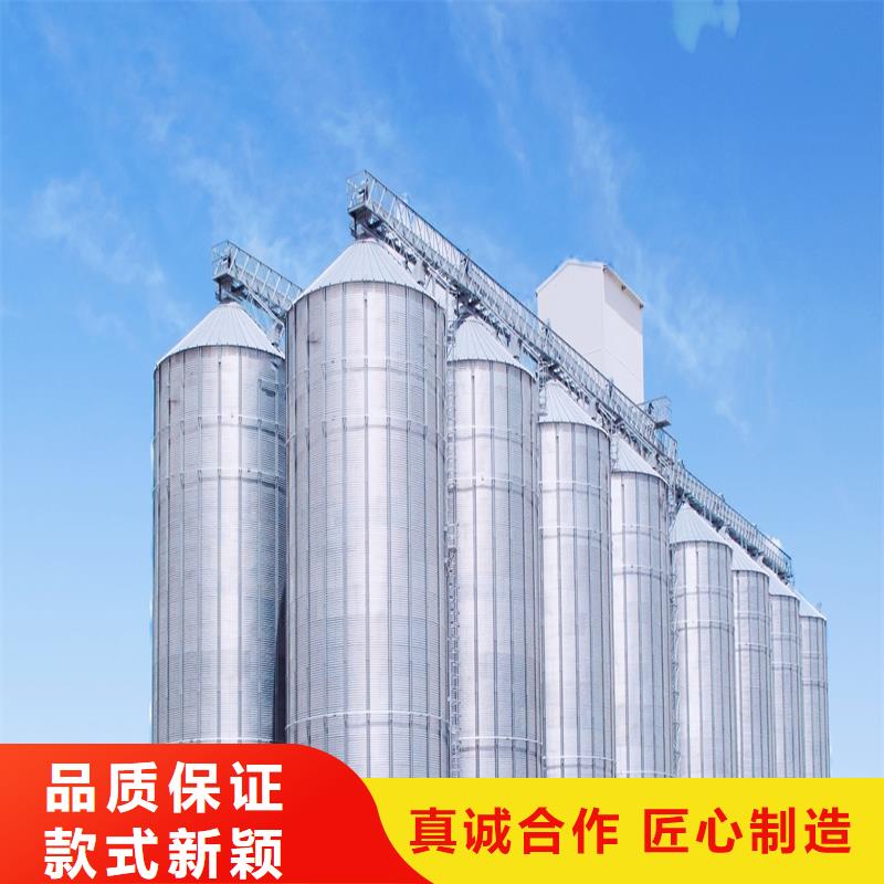 装配式粮仓钢板仓存储仓厂家-交期短