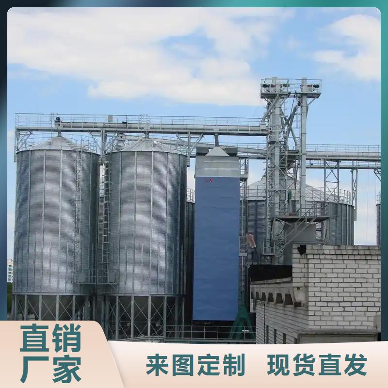 可定制的大型立式粮食储存仓供应商
