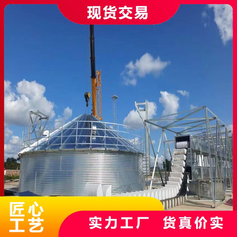 庫存充足的黃豆立筒倉銷售廠家