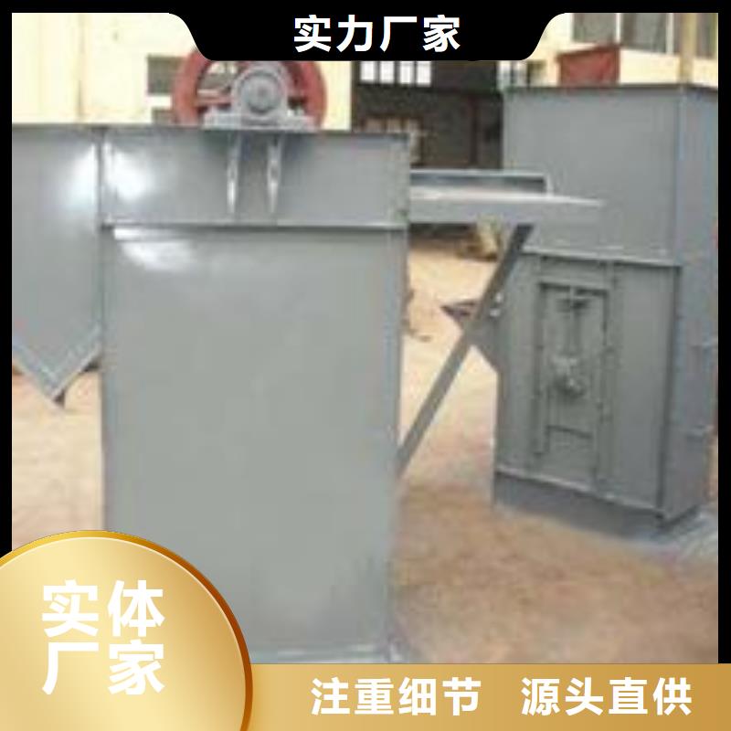 塑料畚斗带式提升机诚信厂家广州直供