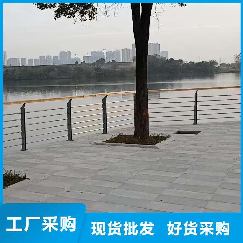 河道护栏我们更专业