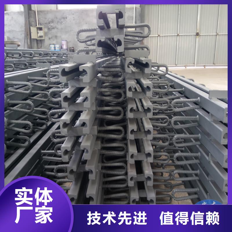 歡迎-白沙縣FD-60型橋梁伸縮裝置