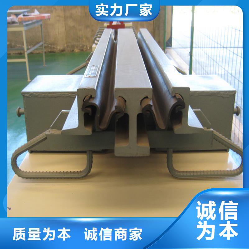 D80桥梁伸缩缝