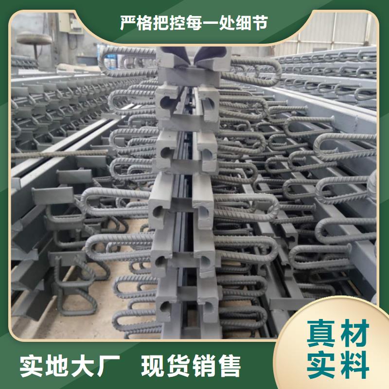 桥梁伸缩缝_网架支座厂家支持非标定制