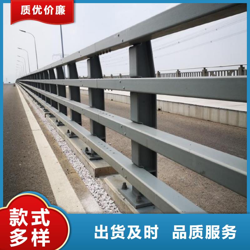 正规道路护栏厂家