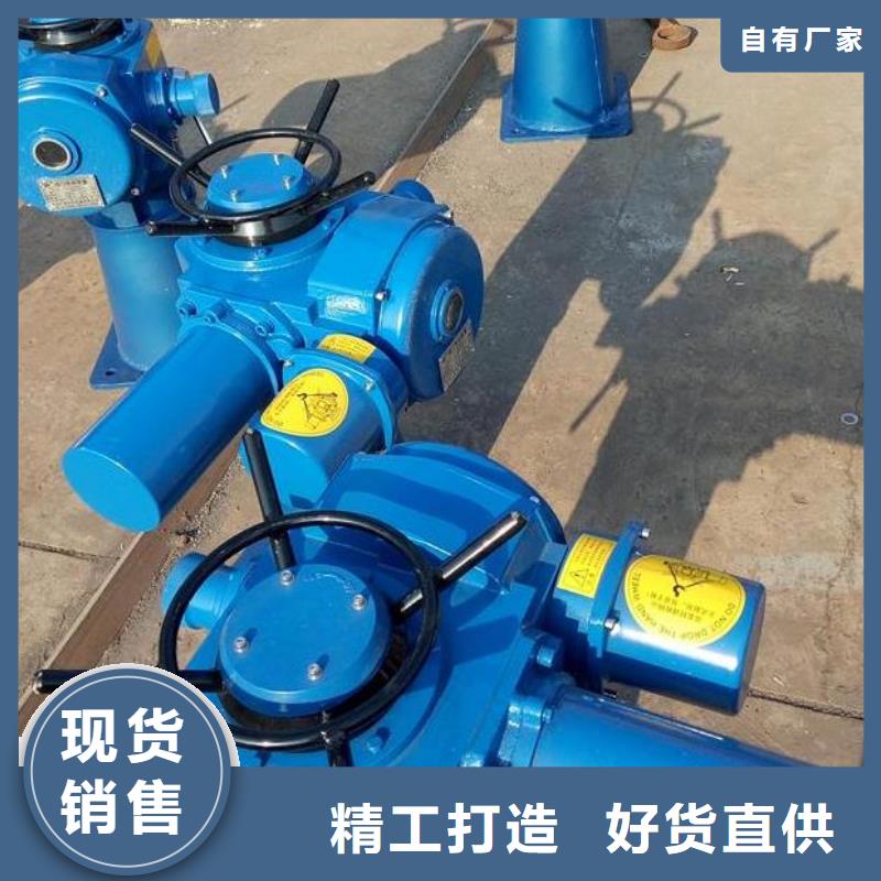 螺杆启闭机为品质而生产